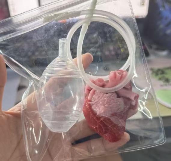 2Pcs Taba Squishy Heart - Realistic Beating Heart Prank Toy, Halloween Sensory Fidget Gift for Adults & Teens, Stress Relief Squishy for Kids Party Pranks & Anxiety Relief